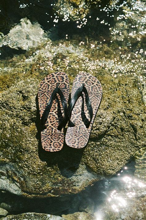 havaianas yves saint laurent